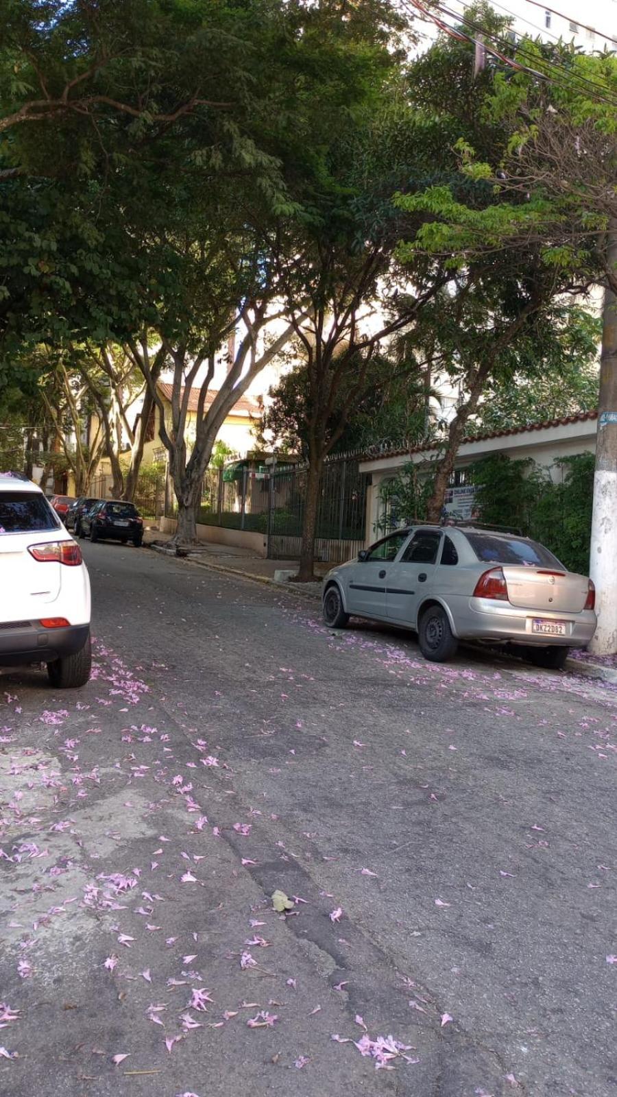 Hospedagem domiciliar Pousada Grumixamas *